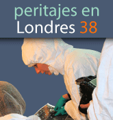 imagen banner.gif