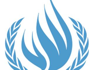 Logo ONU