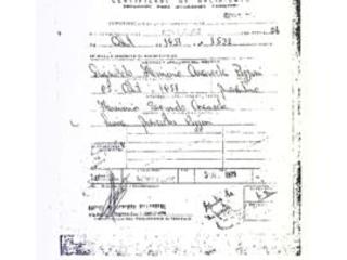 Certificado de nacimiento de Dignaldo Araneda Pizzini